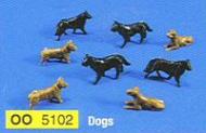 MS 5102 : Dogs